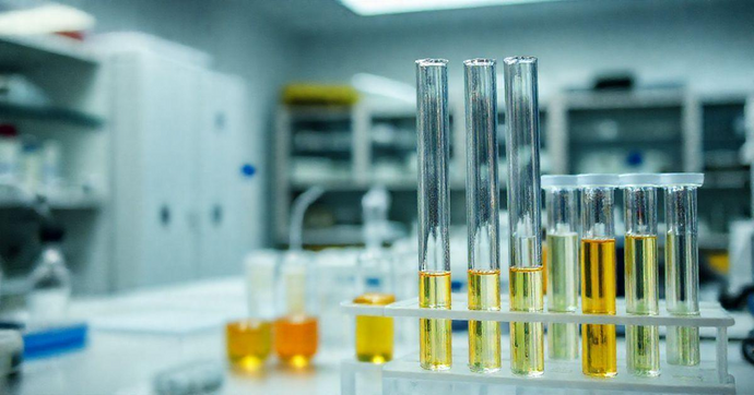 Cromatografia de L&iacute;quidos: Princ&iacute;pios e Aplica&ccedil;&otilde;es