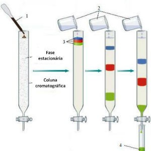 Análise de cromatografia de gases