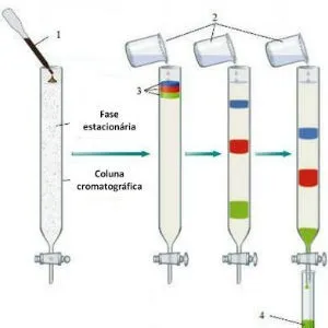 Cromatógrafo gasoso preço
